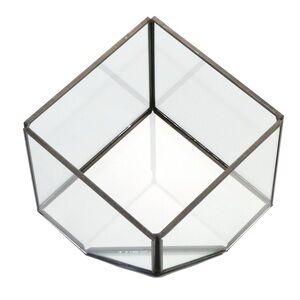 Clear Glass Geometric Vase with Dark Metal Trim